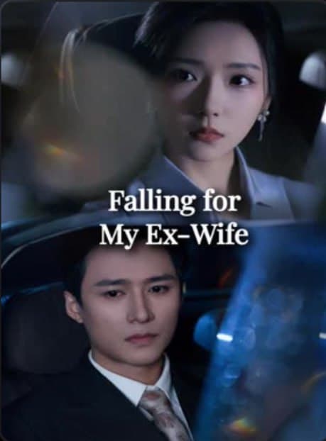 Falling for My EX-Wife