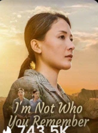 I'm Not Who You Remember