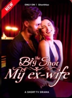 The Big Shot is My Ex-Wife
