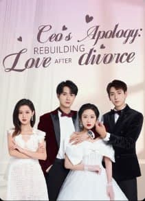 CEO's Apology: Rebuilding Love after Divorce