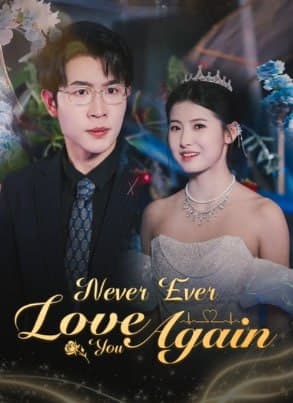 Never Ever Love You Again