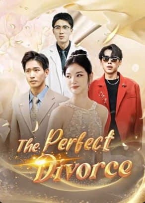 The Perfect Divorce