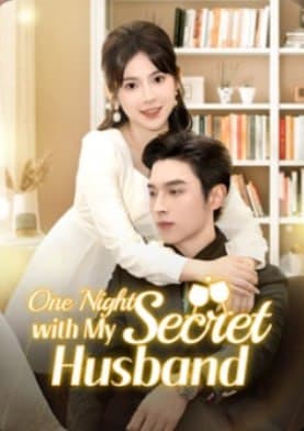 One Night with My Secret Husband