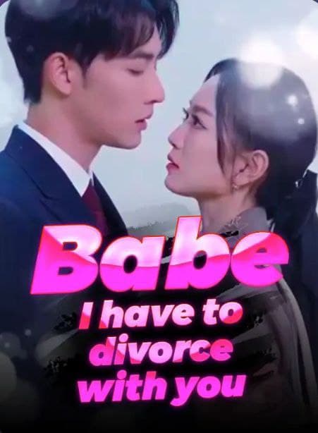 Babe,I Have To Divorce With You