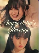 Angry Wife's Revenge
