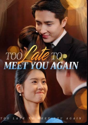 Too Late to Meet You Again