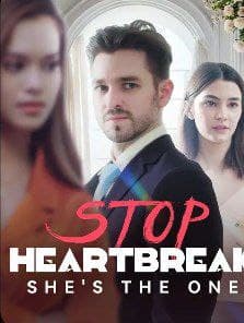 Stop Heartbreak, She's the One