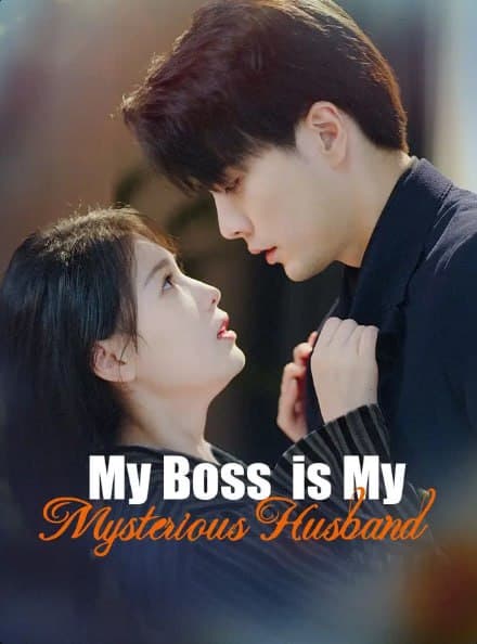 My Boss is My Mysterious Husband