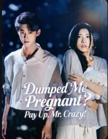 Dumped Me Pregnant Pay Up, Mr. Crazy!