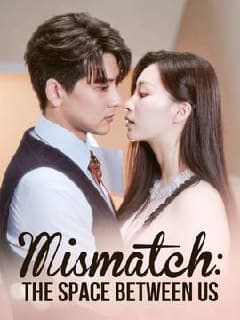 Mismatch The Space Between Us