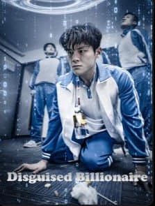 Disguised Billionaire