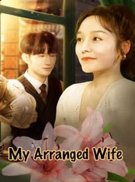 My Arranged Wife