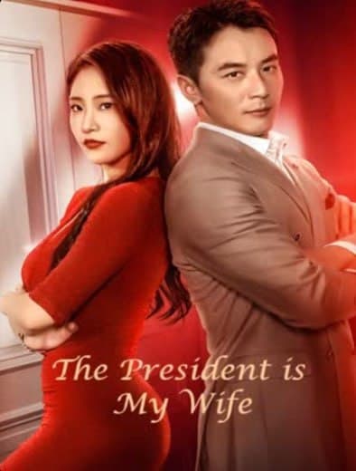 The President is My Wife