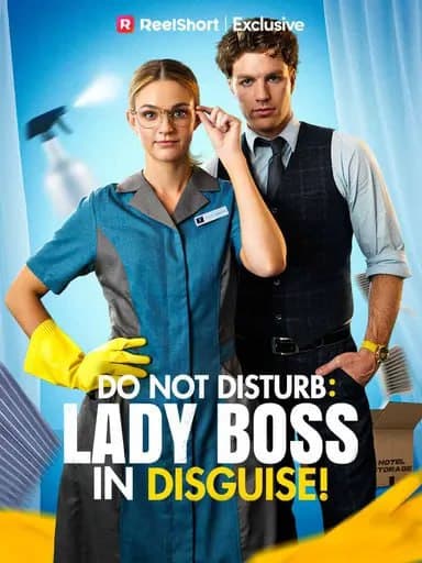 Do Not Disturb Lady Boss in Disguise