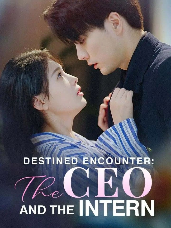 Destined Encounter: The CEO and The Intern