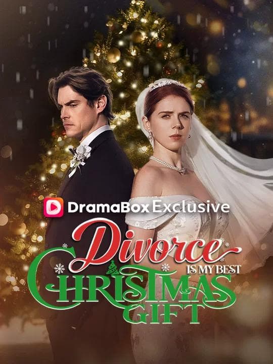 Divorce Is My Best Christmas Gift