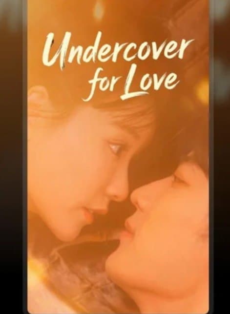 Undercover For Love