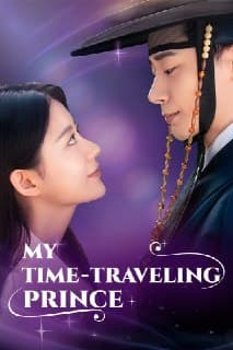 My Time-Traveling Prince