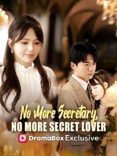 No More Secretary No More Secret Lover