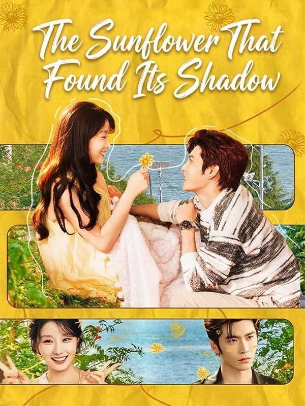 The Sunflower That Found Its Shadow