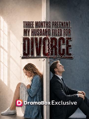 Three Months Pregnant, My Husband Filed Divorce