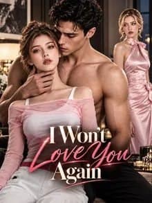 I Won't Love You Again